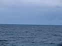 Obraz 477